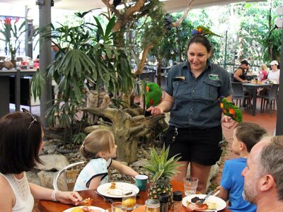 A staff member showing birds to patrons at Wildlife Habitat Port Douglas