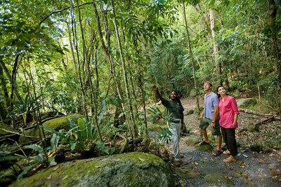 Two people being guided by a tour guide at Mossman Gorge