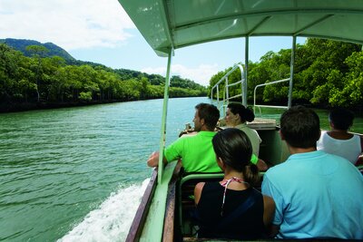 People enjoying a river cruise on the Daintree River in Far North Queensland