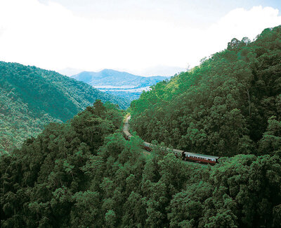 An aerial photo of the Kuranda Scenic Railway training winding through the rainforest