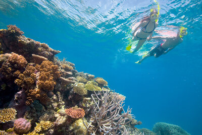 Two people snorkeling on the Great Barrier Reef